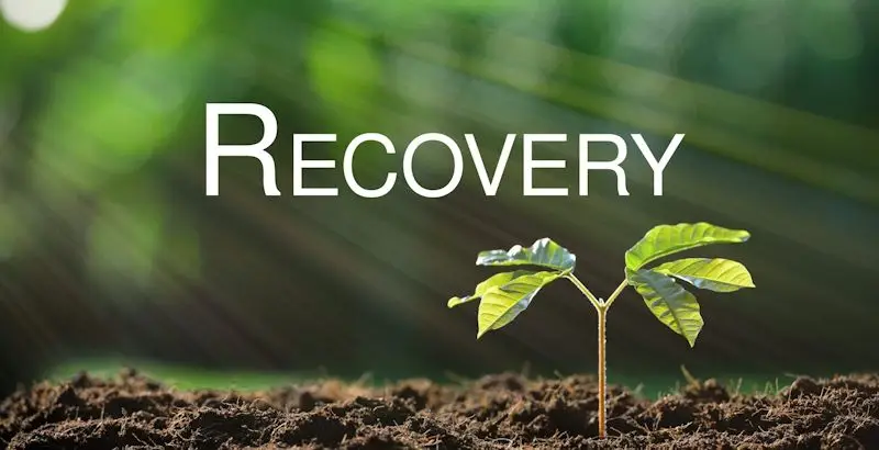 A young seedling sprouting from soil with sunlight and the word RECOVERY above it.